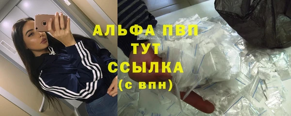 spice Медвежьегорск