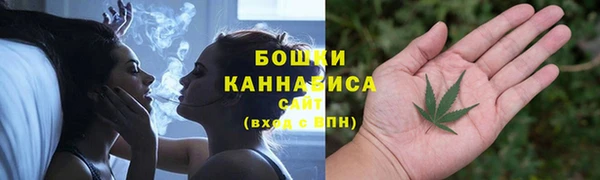 амф Медногорск