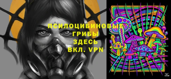 амф Медногорск