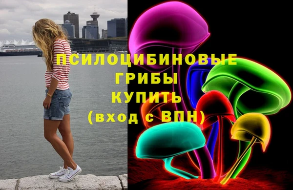 spice Медвежьегорск